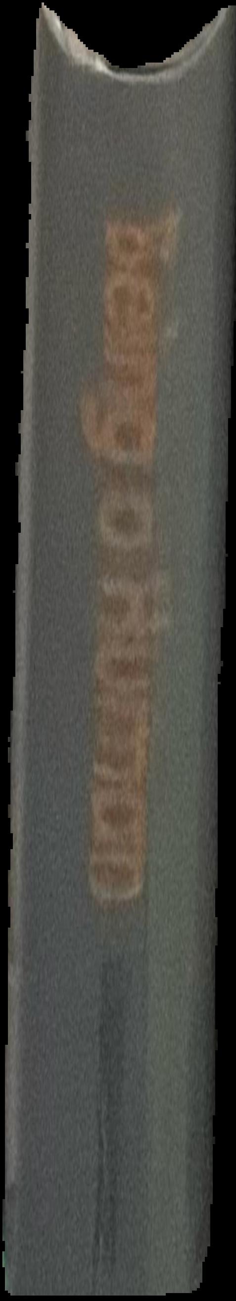 Ed Ruscha : new drawings live spine