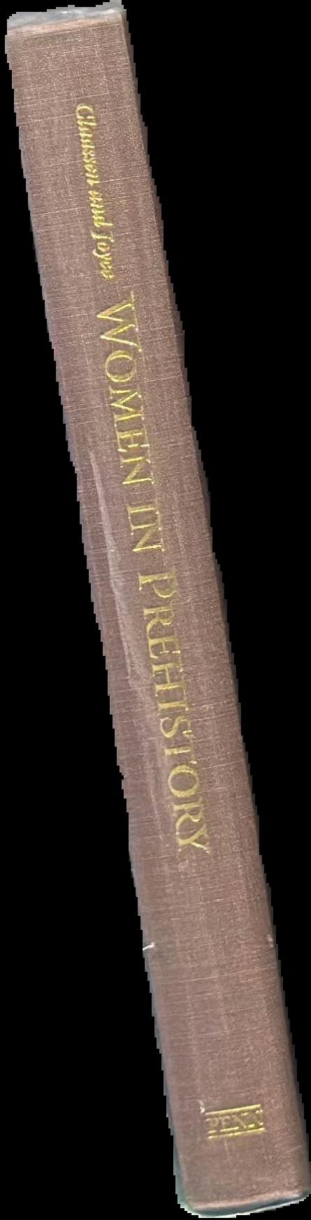 Women and gender in ancient Egypt : from prehistory to late antiquity live spine