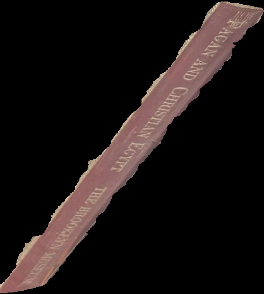 Pagan and Christian Egypt : Egyptian art from the first to the tenth century AD live spine