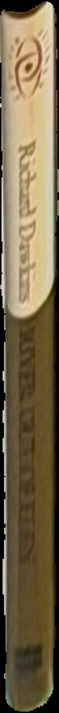 Das Rheingold live spine