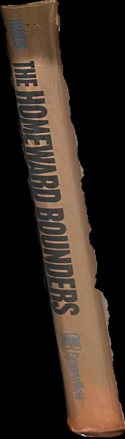 The homeward bounders / Diana Wynne Jones live spine