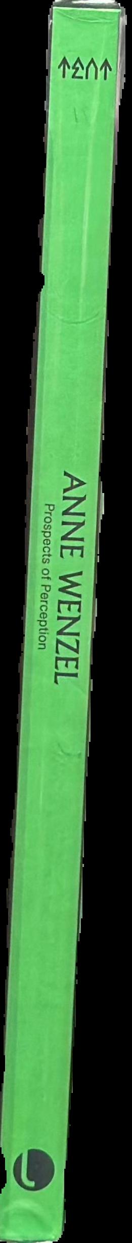 Anne Wenzel : prospects of perception live spine