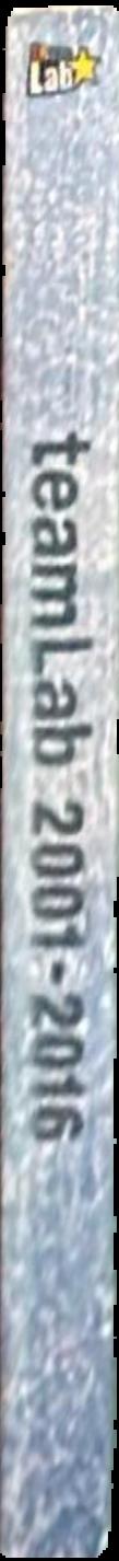 teamLab 2001-2016 live spine
