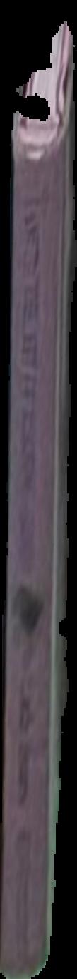 Dante's Inferno : selected cantos and episodes live spine