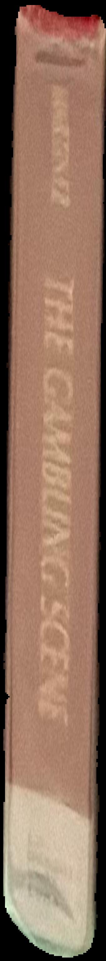 Tennis strokes that win : breakthrough techniques for mastering the game / Frank Early ; photographs by Ron Bernstein live spine