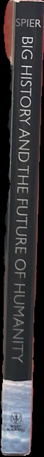 Big history and the future of humanity live spine
