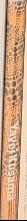 Photography [2009] / Sims Reed Rare Books live spine