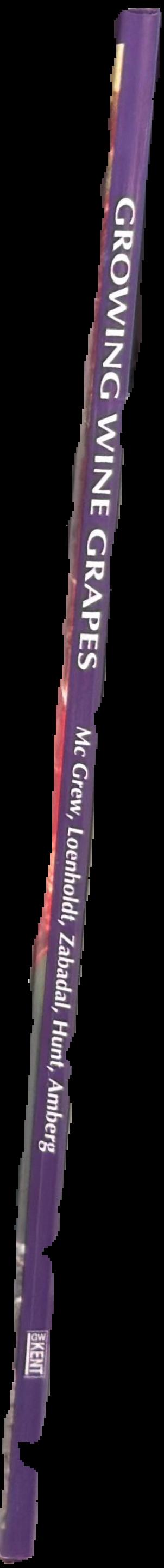 Growing wine grapes live spine