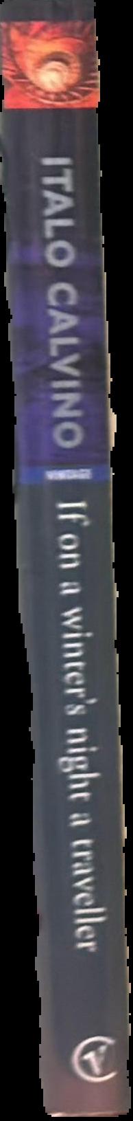 If on a winter's night a traveller live spine