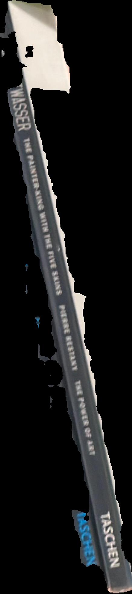 Hundertwasser : the painter-king with the five skins live spine