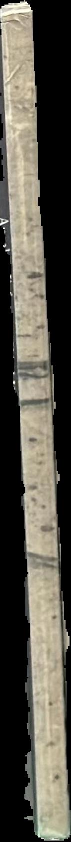 Anselm Kiefer : Jason live spine
