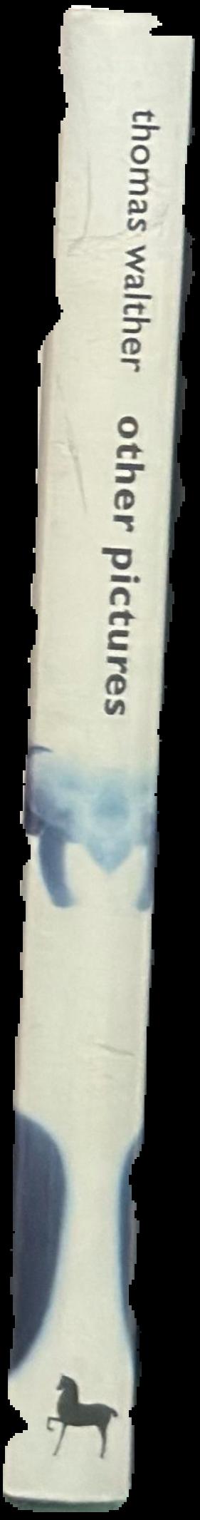 Other pictures : anonymous photographs from the Thomas Walther collection live spine