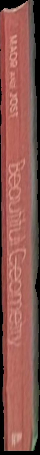 Perfect symmetry : the accidental discovery of buckminsterfullerene / Jim Baggot live spine