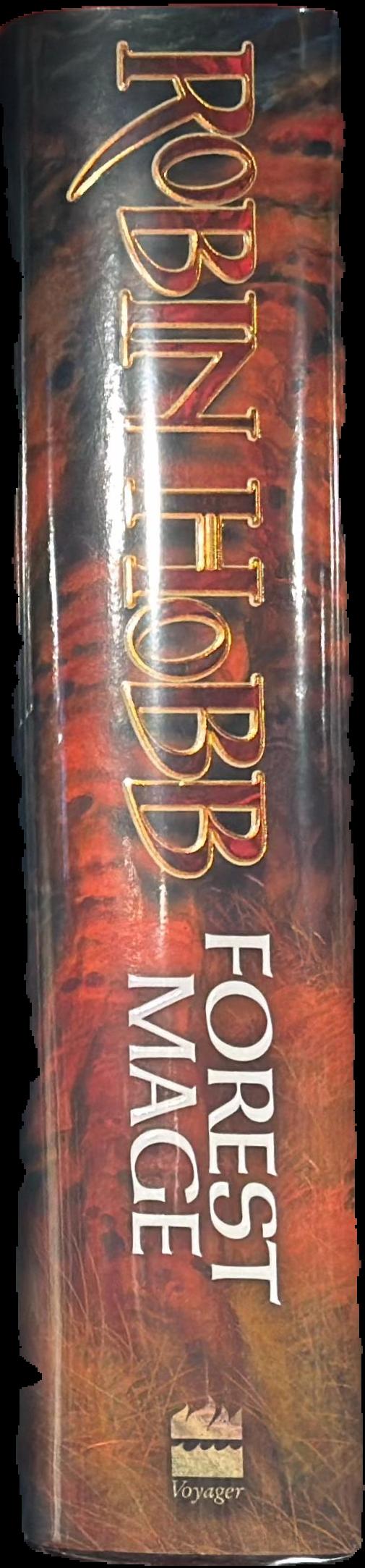 Forest mage live spine