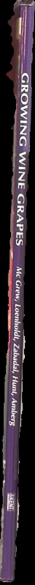 Growing wine grapes live spine