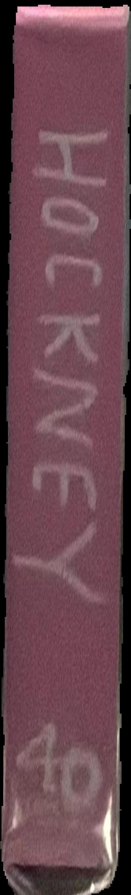 David Hockney : a chronology live spine