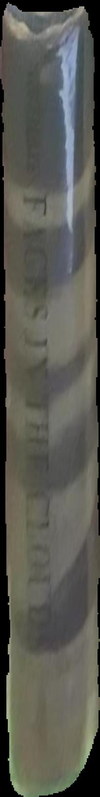 Faces in the clouds : a new theory of religion live spine