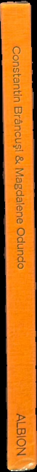 Constantin Brancusi & Magdalene Odundo live spine
