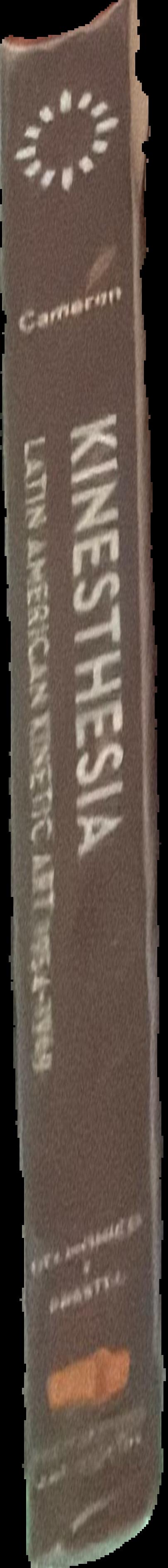 Kinesthesia : Latin American kinetic art, 1954-1969 / Dan Cameron ; with essays by Jesús Fuenmayor, Maria José Herrera, Frederico Morais, Héctor Olea, Cristina Rossi, Isabel Plante live spine