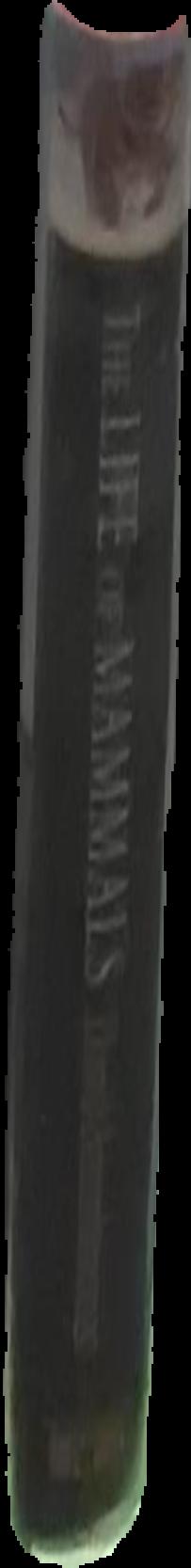 Let it shine : self-taught art from the T. Marshall Hahn Collection live spine