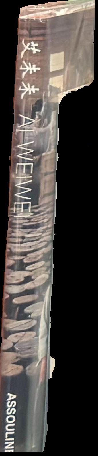 Ai Weiwei : works : Beijing 1993-2003 live spine