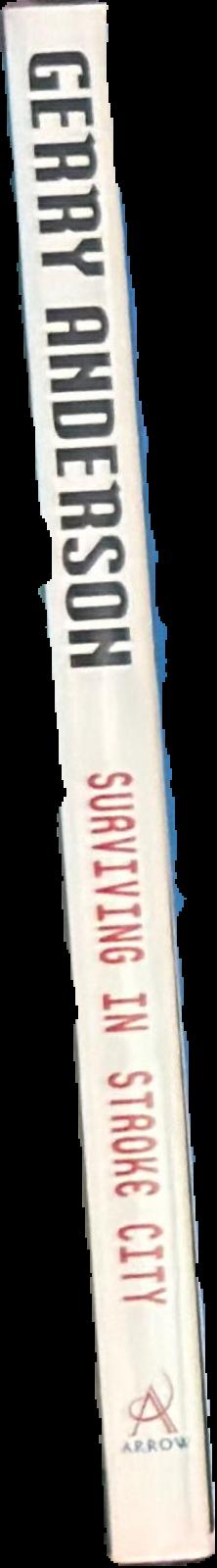 Surviving in Stroke City live spine