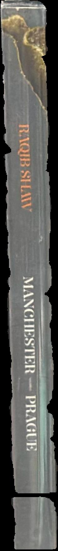 Raqib Shaw live spine