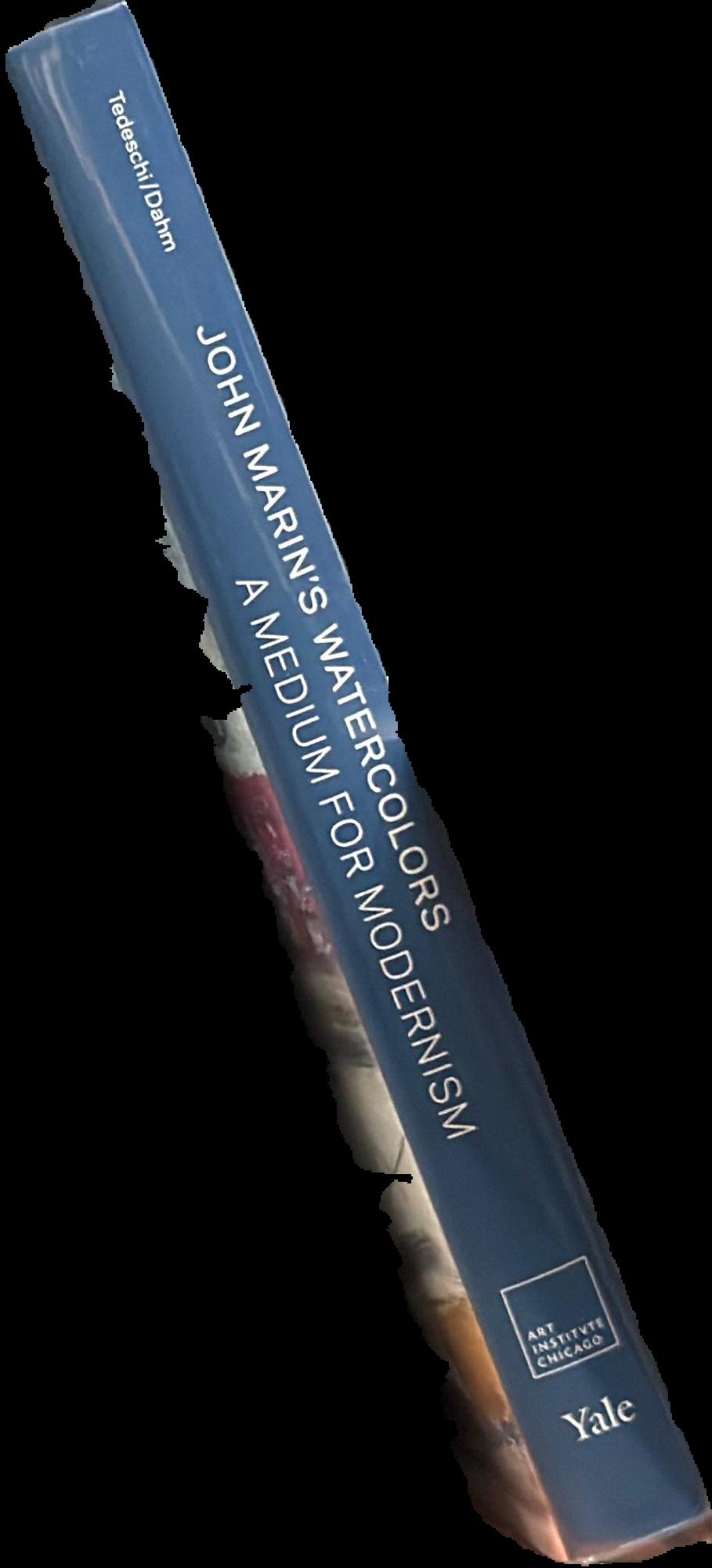 John Marin's watercolors : a medium for modernism live spine