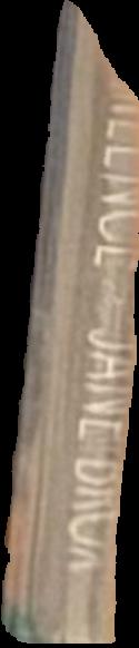 Libraries in the ancient world live spine