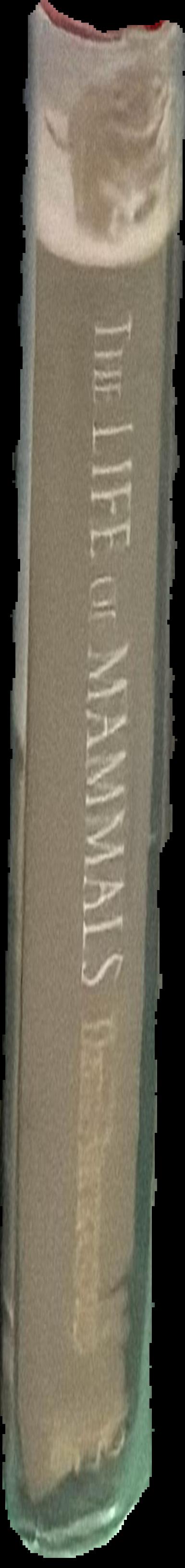 The life of mammals / David Attenborough live spine