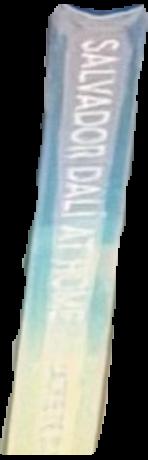 Dali by Dali / translated by Eleanor R. Morse live spine