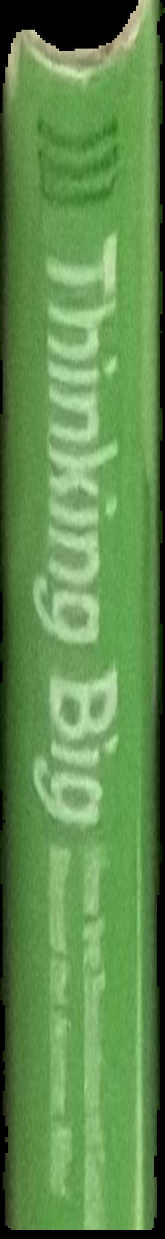 A thinking reed live spine