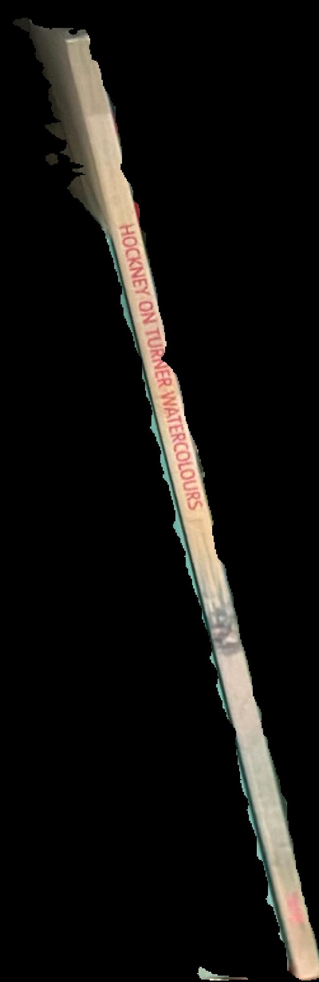 Hockney on Turner watercolours live spine