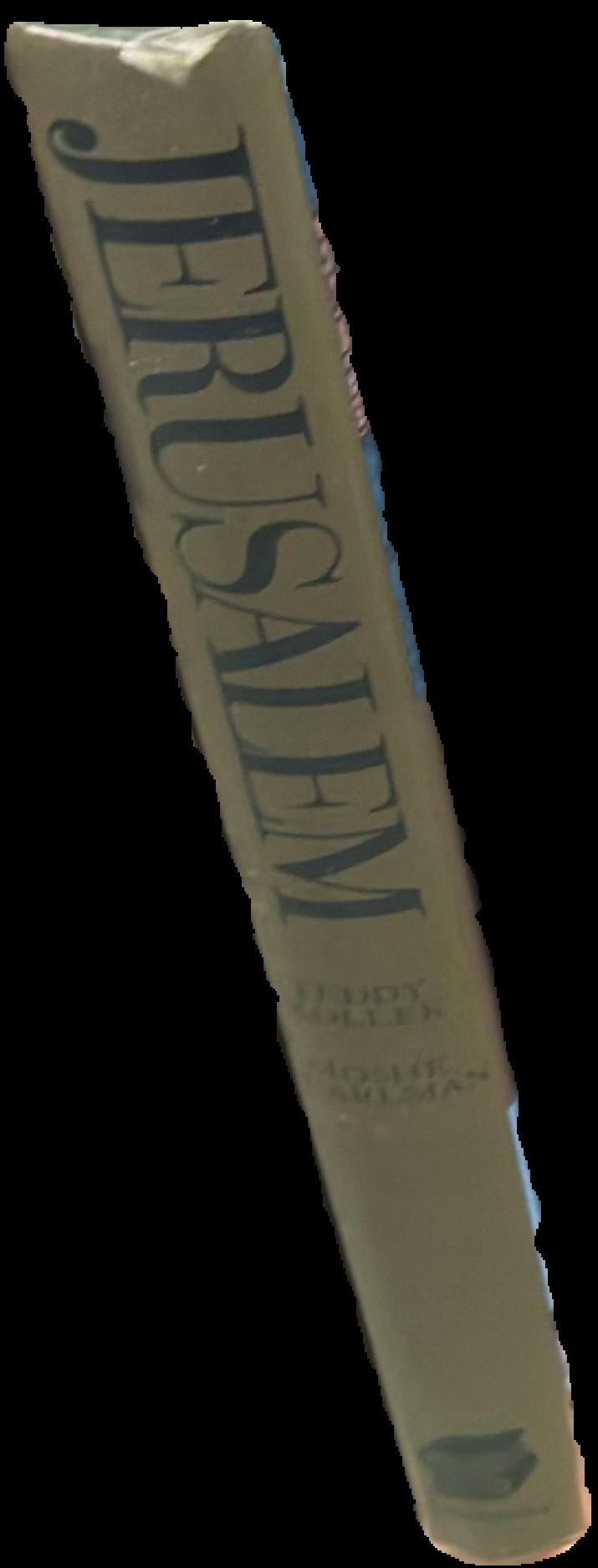 Archaeological encyclopedia of the Holy Land live spine