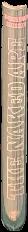 Un-Man and other novellas / Poul Anderson live spine