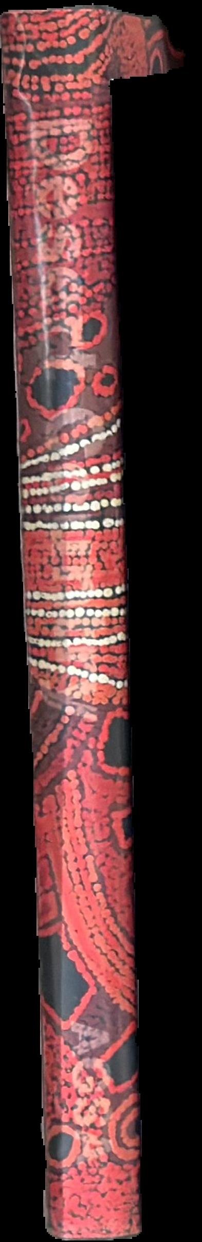 Cochineal red : the art history of a color live spine
