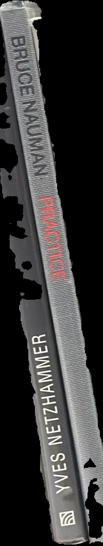 Yves Netzhammer live spine