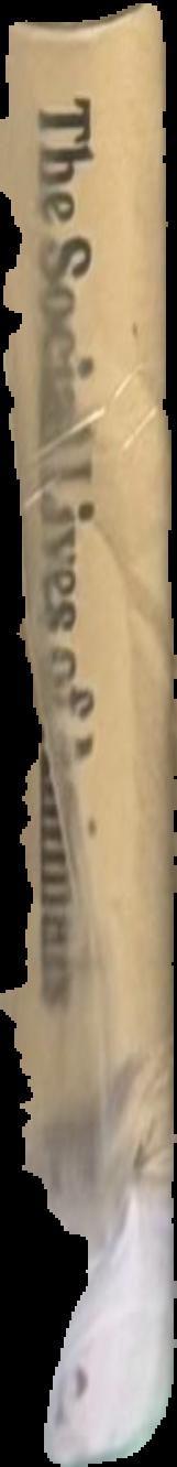 Anatomy of the SS state live spine