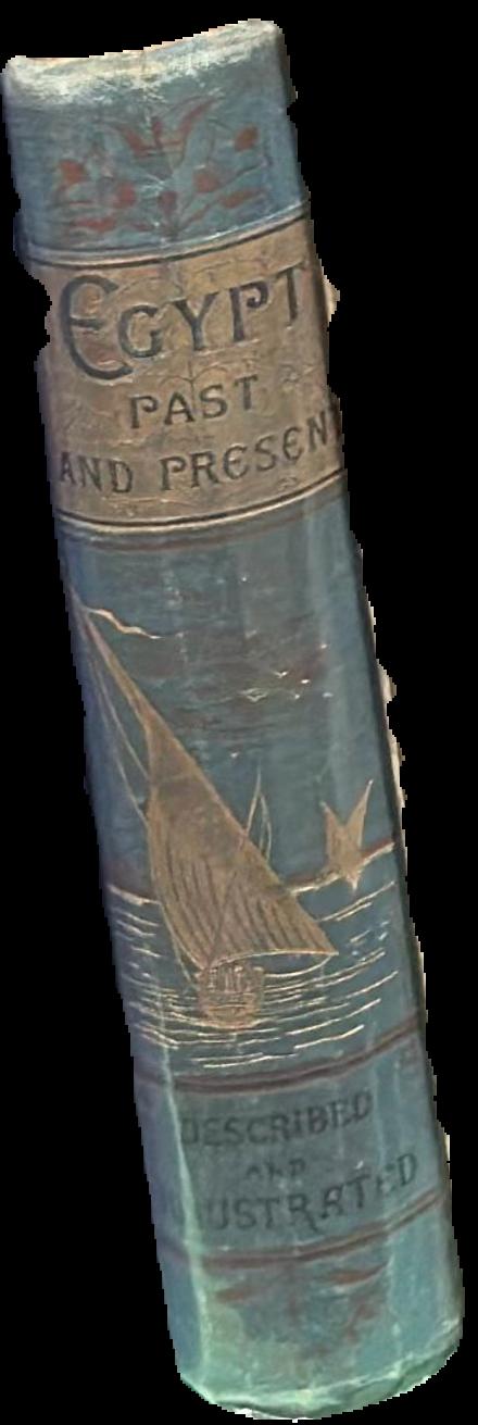 Egypt past and present : described and illustrated, with a narrative of its occupation by the British, and of recent events in the Soudan live spine