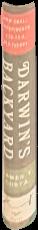 When the Greeks ruled Egypt : from Alexander the Great to Cleopatra / edited by Roberta Casagrande-Kim ; with contributions by Mary C. Greuel, Roger S. Bagnall, Dee L. Clayman, Roberta Casagrande-Kim, and Olaf E. Kaper live spine