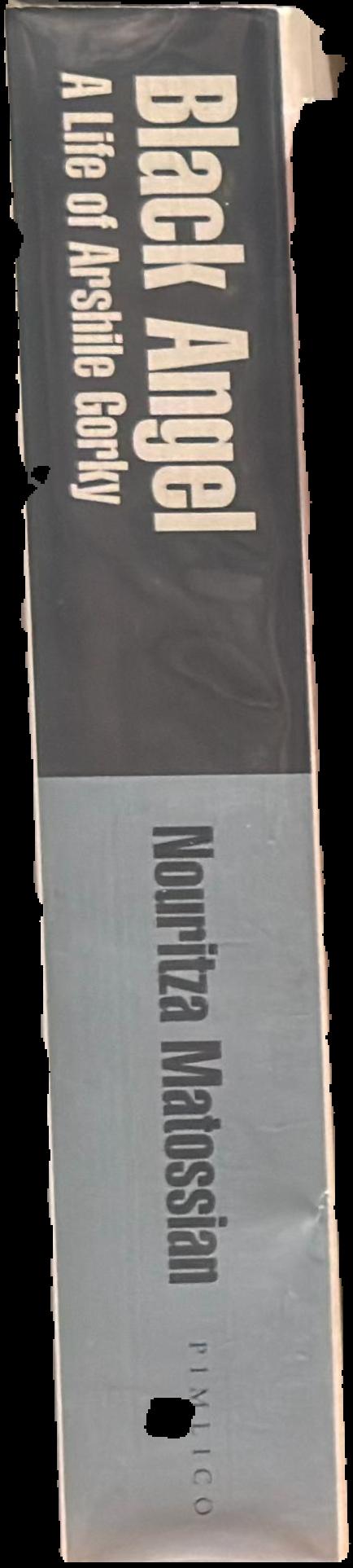 Black angel : a life of Arshile Gorky live spine