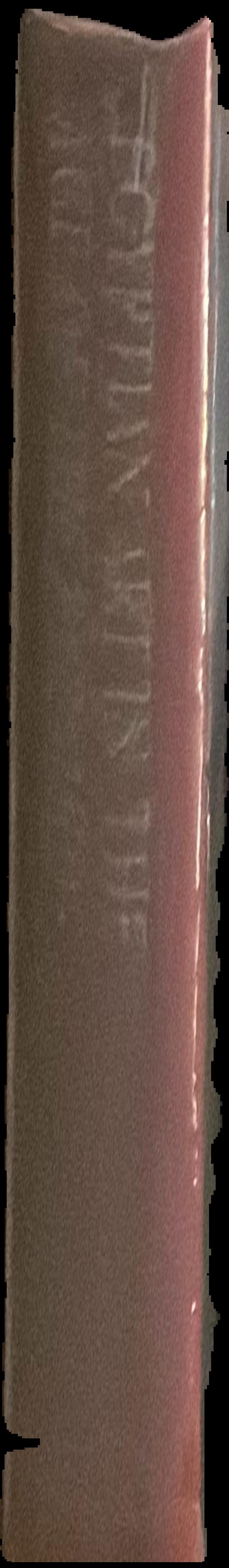 Modern poetry : a personal essay live spine