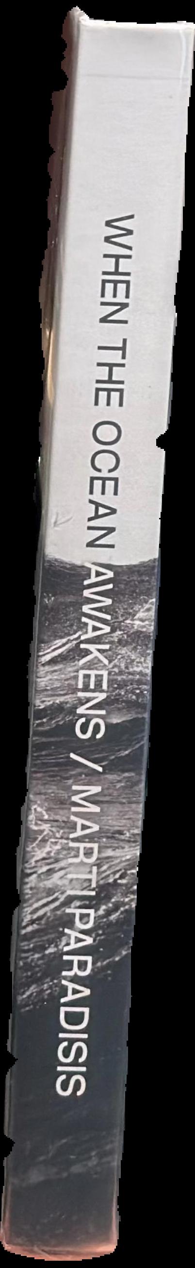 When the ocean awakens : the raw untold stories of big-wave surfing in Tasmania live spine
