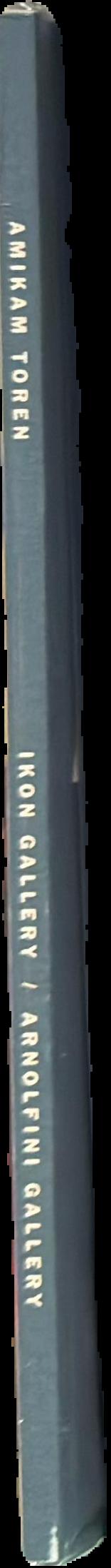 Amikam Toren : 24 November 1990 -  5 January 1991 live spine