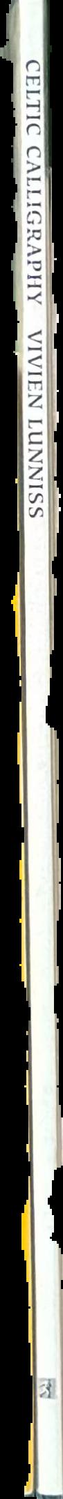 Celtic calligraphy live spine