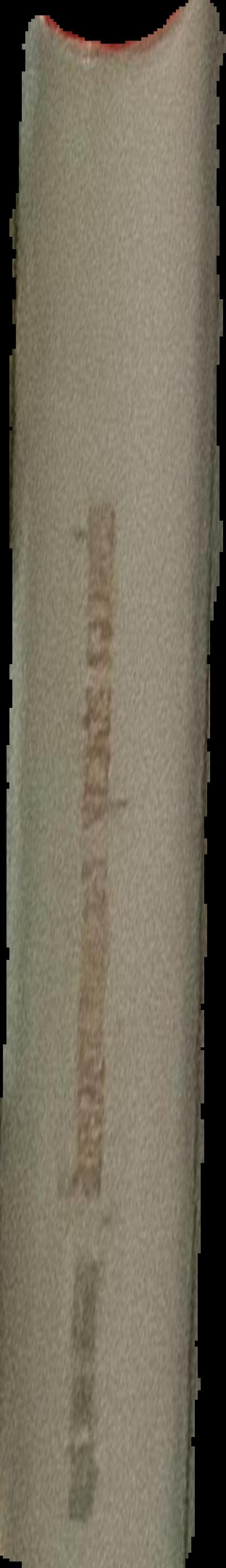 Contemporary Iranian art live spine