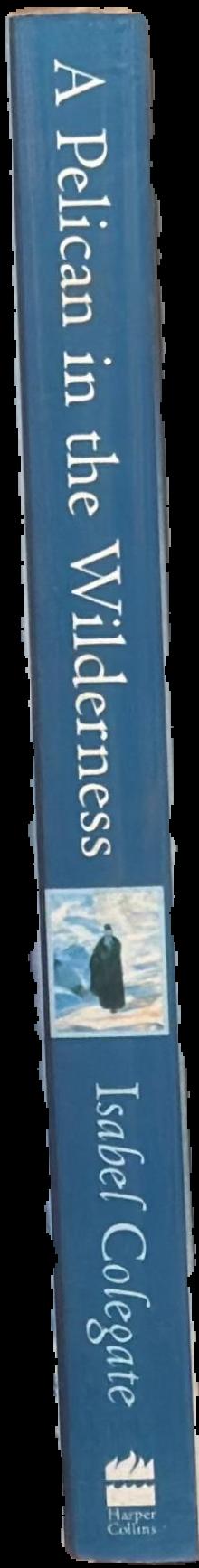 A pelican in the wilderness : hermits, solitaries and recluses live spine