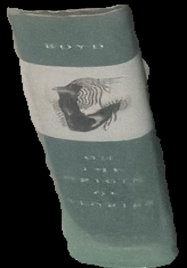 The edge of the cloud / K. M. Peyton ; illustrated by Victor G. Ambrus live spine