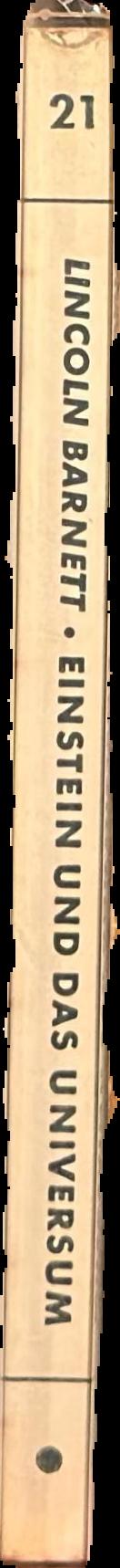 Einstein und das Universum live spine