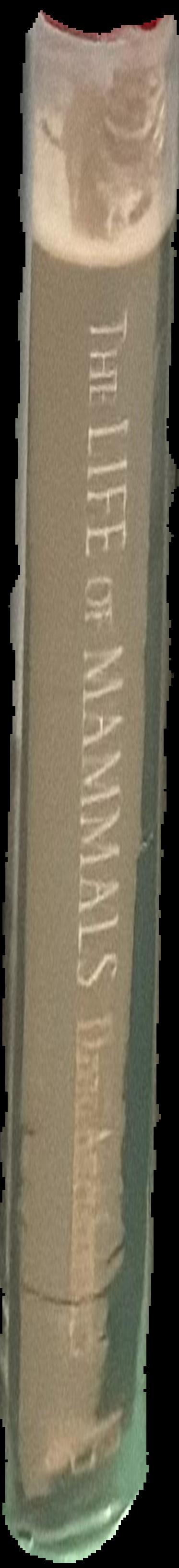 The life of mammals / David Attenborough live spine